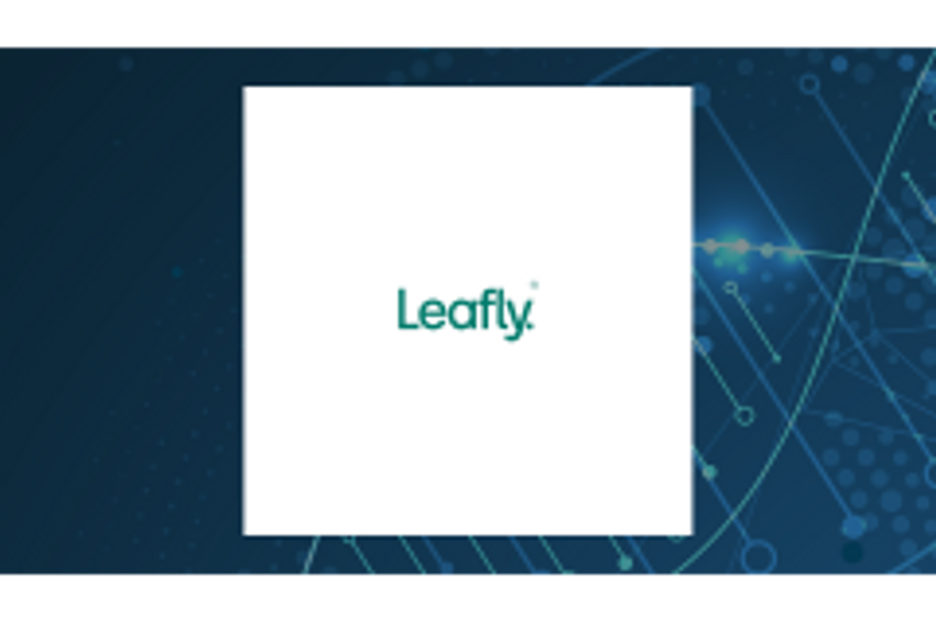 Leafly (NASDAQ:LFLY) Trading Down 2.6%