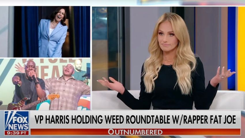  Tomi Lahren Admits Abortion and Weed Are Issues That Could Win Biden the Election | Video