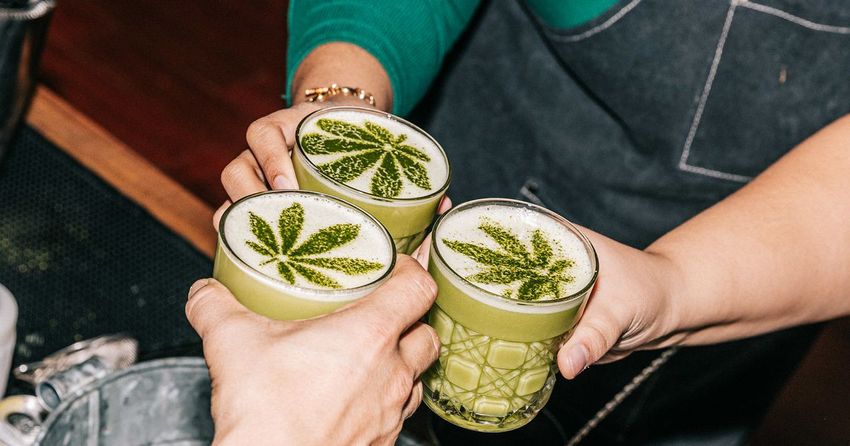  Will Cannabis-Infused Cocktails Spark Buzz in Illinois?