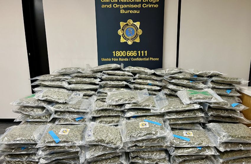  Gardaí found cannabis worth €3.2 million after stopping a vehicle on the M50 yesterday