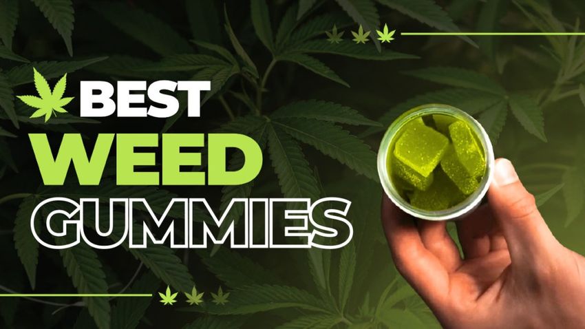  Best Weed Gummies of 2024 for Pain Relief, Energy, Sweet Dreams & Euphoria