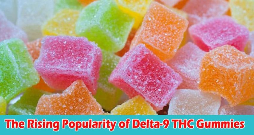  The Rising Popularity of Delta-9 THC Gummies