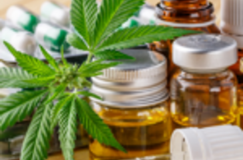  What do doctors say: Is cannabis really a medicine?