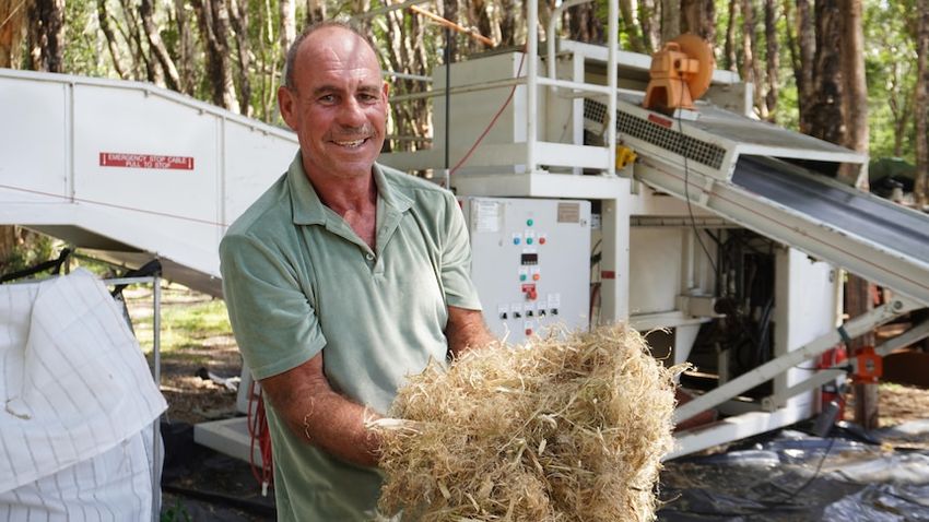  Hempcrete poses a sustainable alternative to concrete but can it scale up to meet the demand?