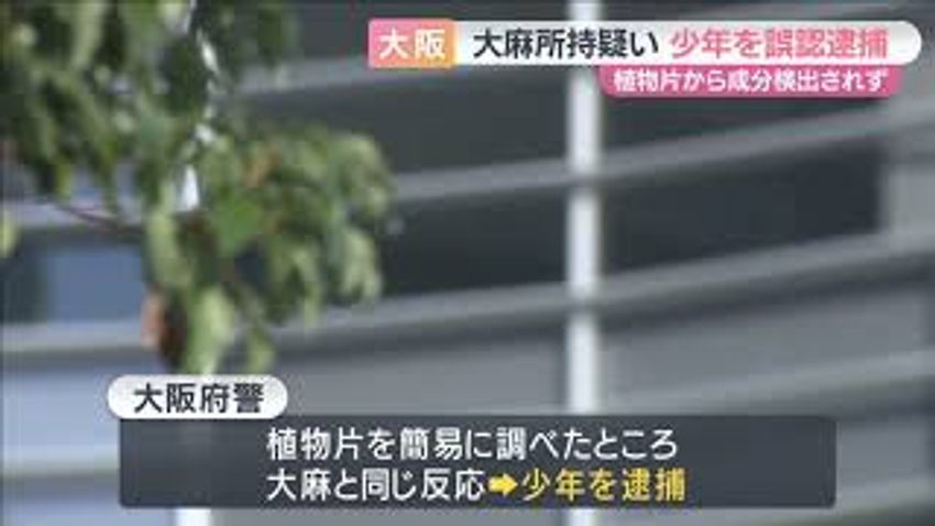  Osaka Police Release Teen After Incorrectly Identifying Marijuana