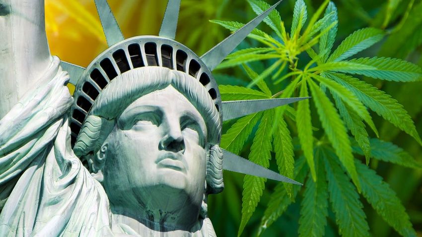  How New York’s legal cannabis rollout ended up in the weeds