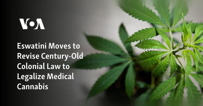  Eswatini Moves to Revise Century-Old Colonial Law to Legalize Medical Cannabis