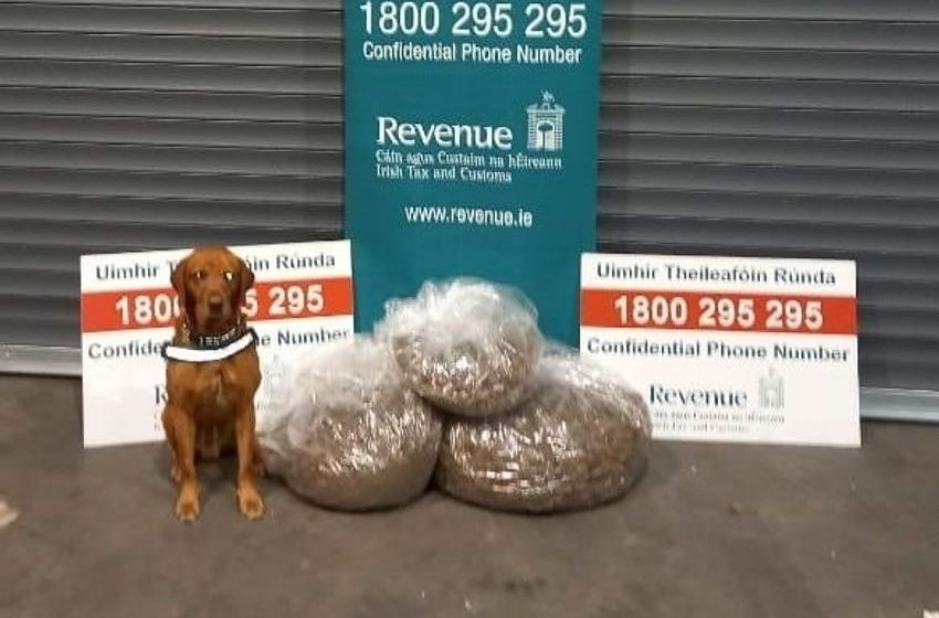  Revenue sniffer dog uncovers nearly 11kg of cannabis worth €216,000 in Dublin