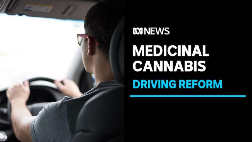  Medicinal cannabis users urge driving law reforms in WA