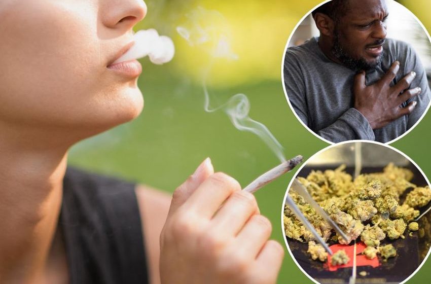  Daily weed smokers 25% more likely to have heart attack, 42% higher stroke risk: AHA