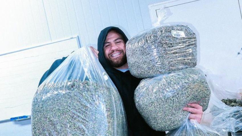  Tuivasa Launches ‘Bam Bam Budz’ Marijuana Company