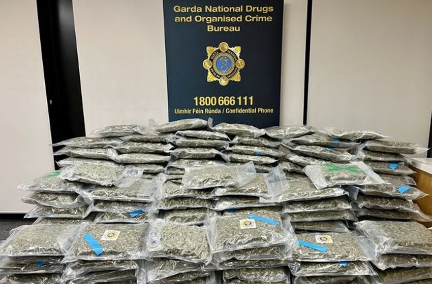  Gardaí arrest man (50s) following seizure €3.2m of suspected cannabis in M50 bust