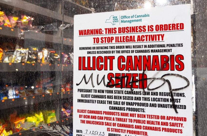  New York’s illegal pot shops aren’t going away