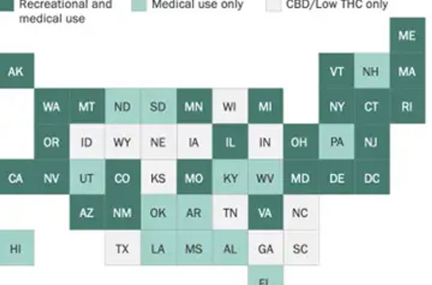  Mapping Out America’s Cannabis Dispensaries