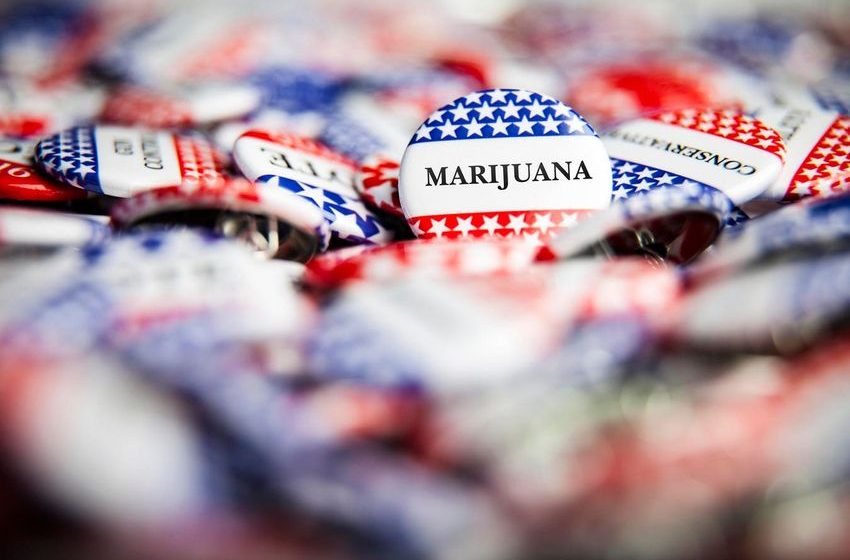  New Poll Suggests Whom Cannabis Consumers Will Vote For In The 2024 US Elections