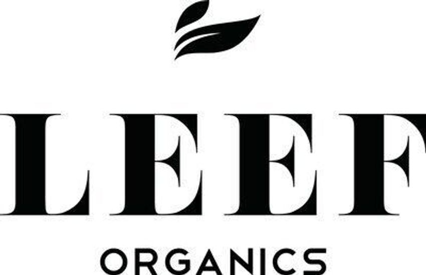  Bee-Benefitting Cannabis Honeys – LEEF is Launching the Well-Kept CBD Infused Honey (TrendHunter.com)