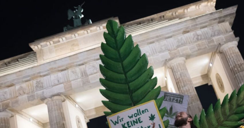  Germany Goes Green: Cannabis Legalised, Drug Crime Prisoners Released