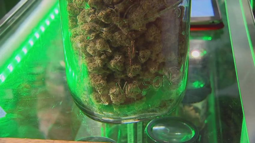  Voters to decide how marijuana is used in Florida