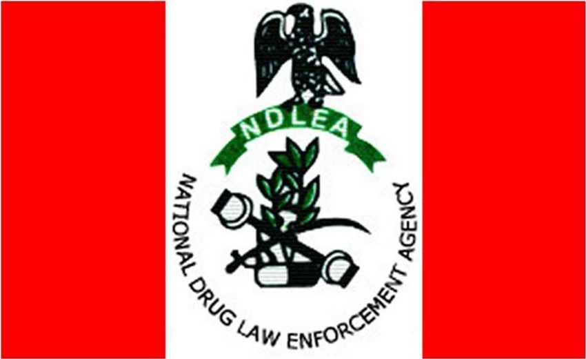  NDLEA intercepts Qatar-bound illicit drugs concealed in vegetables