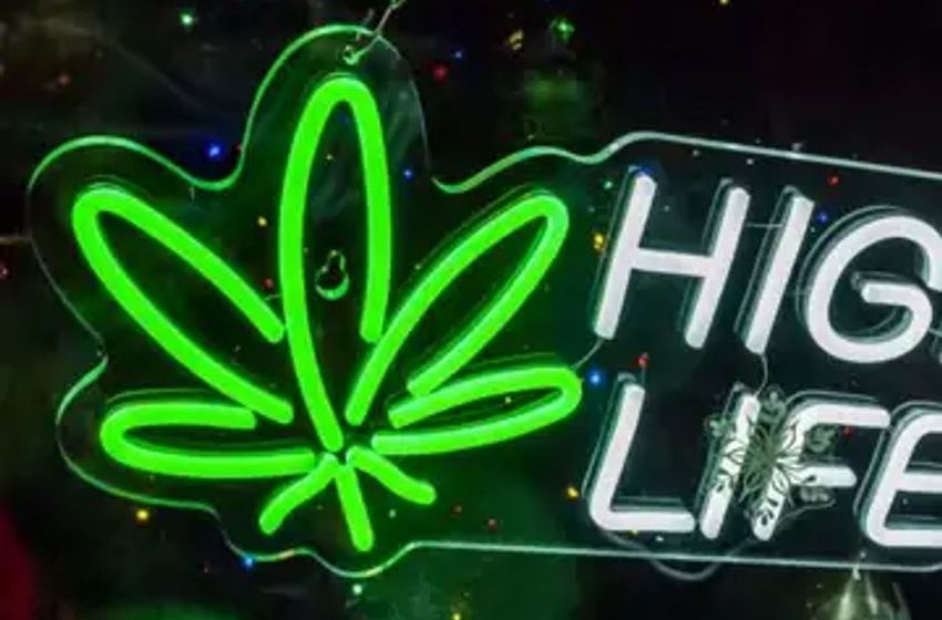  New York’s pot legalization ‘disaster’ was entirely predictable