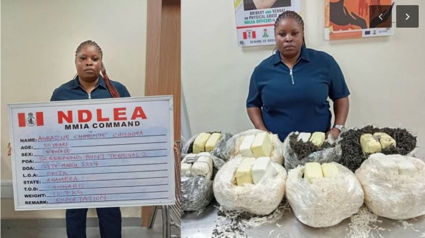  NDLEA intercepts Qatar-bound drugs, officers reject N5m bribe