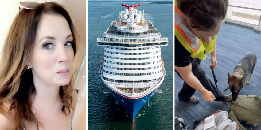  ‘She had cookies in the bottom of her bag’: Carnival Cruise dogs are now everywhere, expert warns. They’re even better than you think