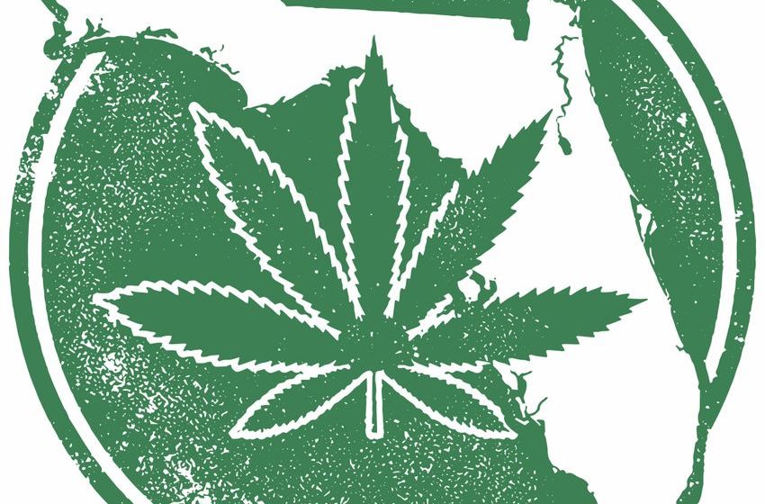  Florida Supreme Court Lets Recreational Marijuana Stay on November Ballot