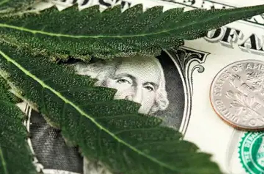  Dank Dividends: 3 Cannabis REITs Offering High Yields