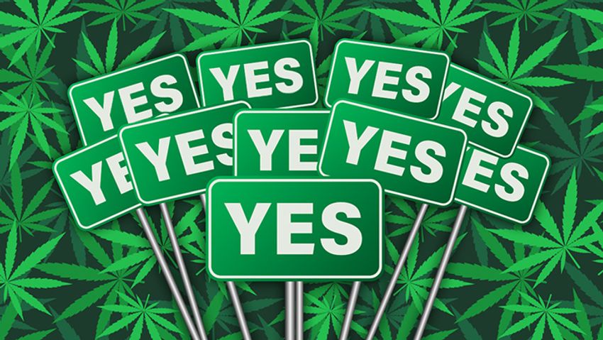  Polls: Most Americans Endorse Legalization, Say Cannabis Is Safer Than Either Alcohol or Tobacco