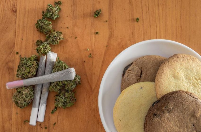  Why smoking pot gives you the munchies, according to cannabis research