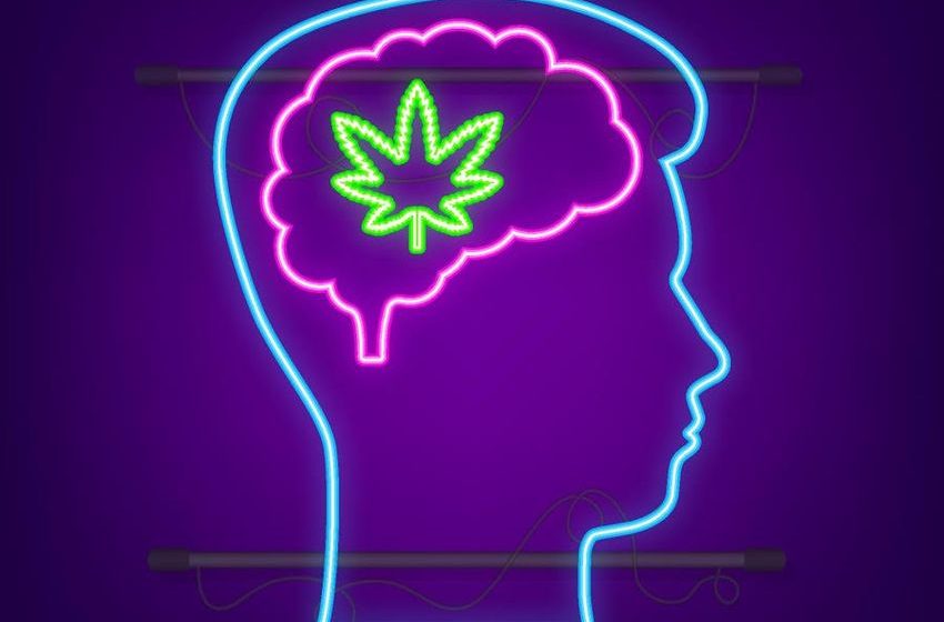  Study Finds CBD From Cannabis May Improve Autistic Quality Of Life