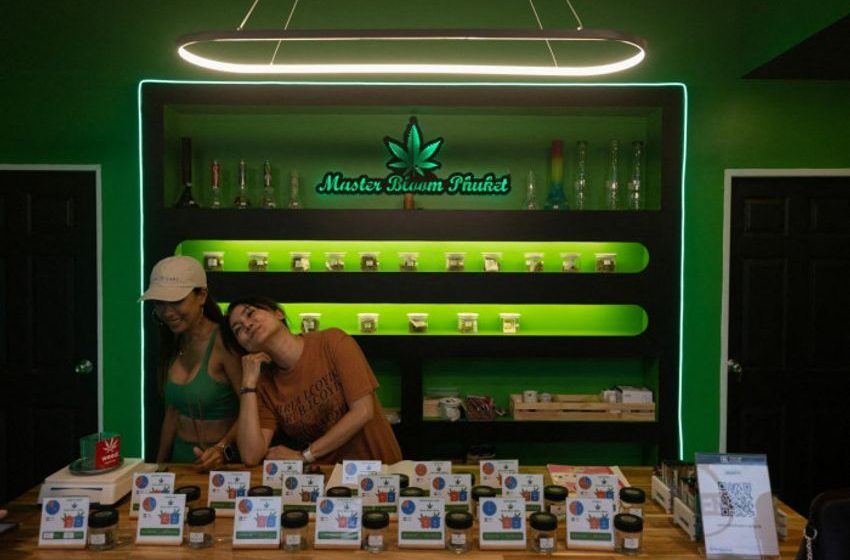  Thailand’s cannabis U-turn is a cautionary tale