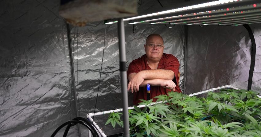  Minnesota pot growers sue state, seeking to legally sell their homegrown cannabis