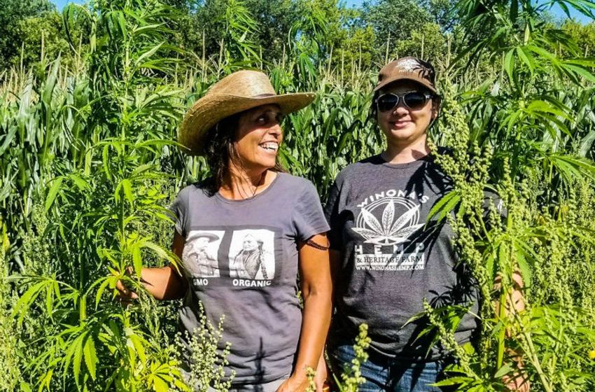  The Indigenous Growers Reviving Hemp’s Deep Roots