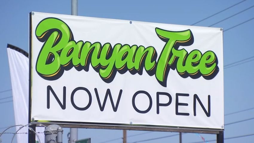  Northeast Fresno welcomes Banyan Tree dispensary, boosting revenue hopes for city leaders