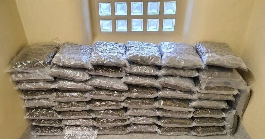  Cannabis: Gardaí seize estimated €1 million worth of suspected drug in Ashbourne, Meath