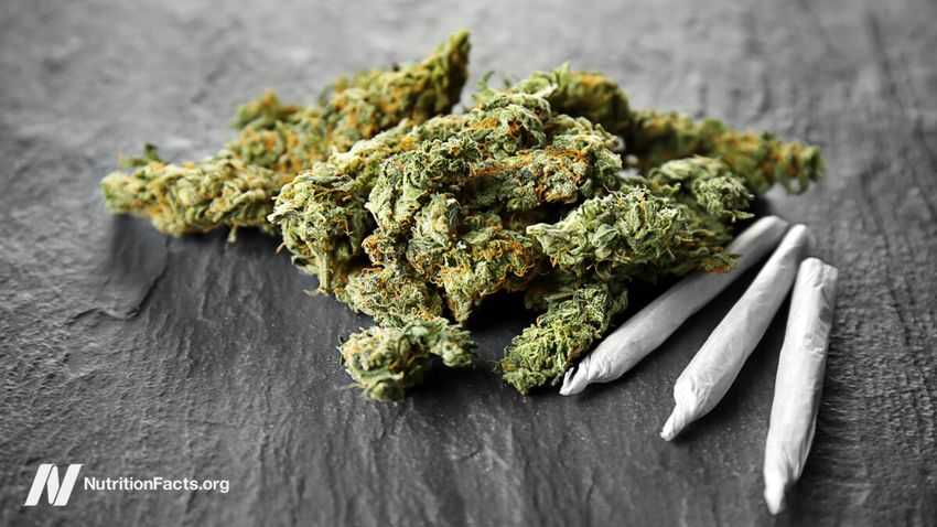  Does Marijuana Affect Weight Gain or Bone Density?