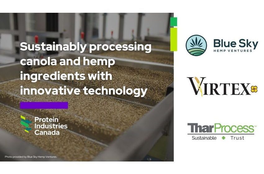  Investing into the creation of low-cost, solvent-free canola & hemp proteins