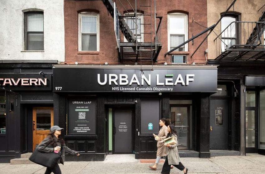  Dispensary Design a Joint Effort at Urban Leaf