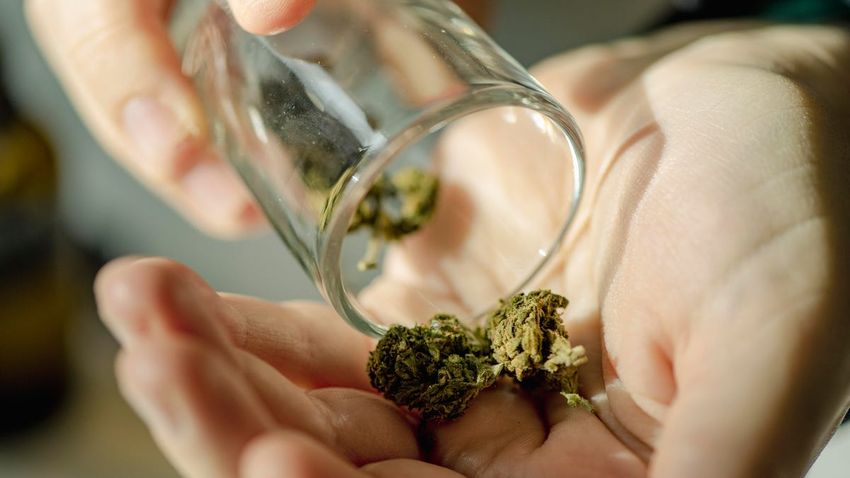  US Government Moves to Reclassify Weed, Citing Medical Uses: What to Know – CNET