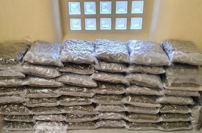  Cannabis worth €1 million discovered in Co Meath warehouse