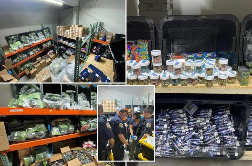  Millions of dollars worth of marijuana products found in Brooklyn warehouse