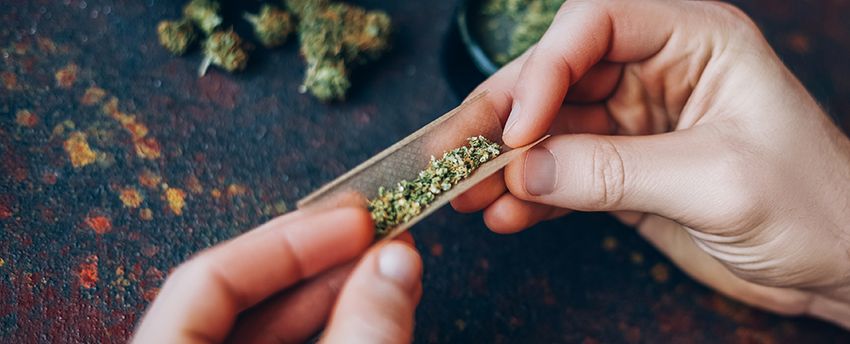  High-Potency Cannabis Linked to Dramatically Higher Risk of Psychotic Episodes