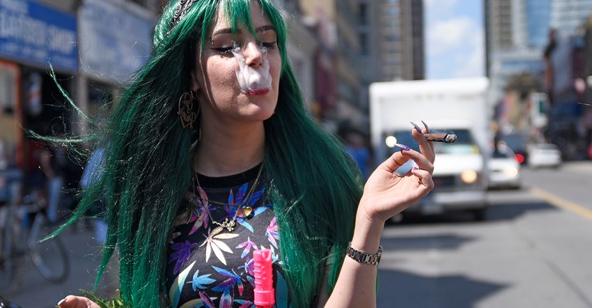  Study Finds Teen Marijuana Use Tied to Dramatic, Increased Risk of Psychosis