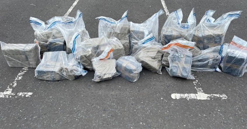  Two men arrested after discovery of cannabis worth £2.1m in Co Tyrone