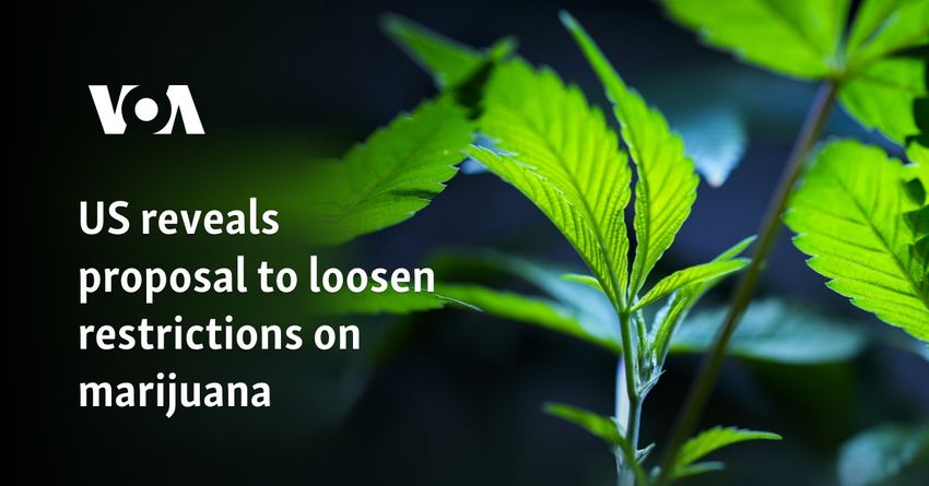  US reveals proposal to loosen restrictions on marijuana