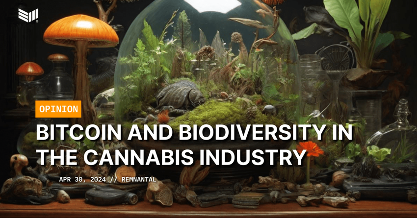  Bitcoin and Biodiversity in the Cannabis Industry