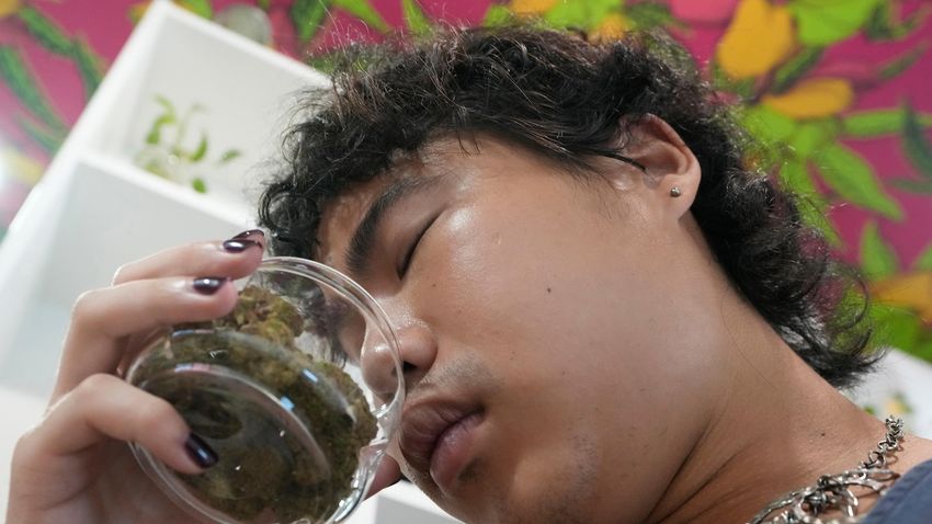  Pro-cannabis advocates in Thailand rally ahead of the government’s plan to recriminalize the plant