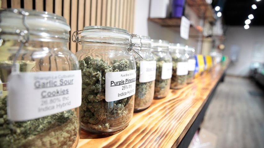  Recreational marijuana backers try to overcome rocky history in South Dakota