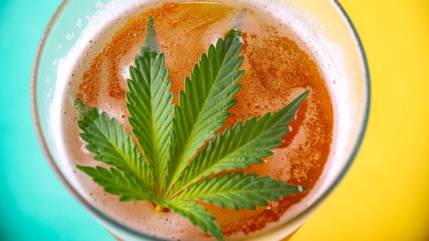  Cannabis Overtakes Alcohol As America’s Vice Of Choice With More Daily Tokers Than Drinkers For First Time Ever